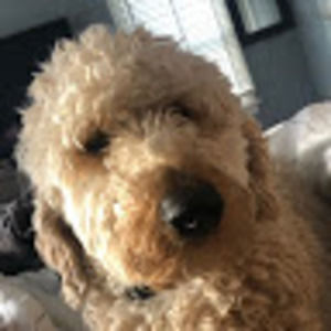 Meet your Posher, Keenan